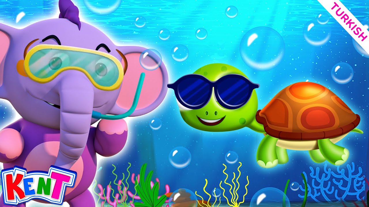 Çizgi Film | Where Do These Animals Stay? Educational Video For Kids | Kent The Elephant Turkish