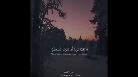 تلاوة خاشعة جدا (والله يريد ان يتوب عليكم) القارئ مؤيد المزين