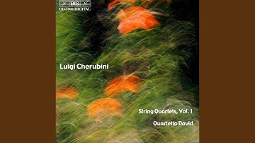 String Quartet No. 1 in E-Flat Major: IV. Finale. Allegro assai