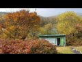진부 산자락 수채화 풍경속 잘 까꾼 정원과 텃밭 + 농막 6평-평창부동산 강원도부동산 평창전원주택 강원도전원주택 평창농가주택 평창토지 평창땅 진부부동산 강원도전원주택 강원도농가주택