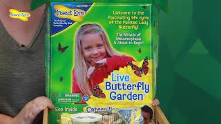 Insect Lore - Butterfly Garden