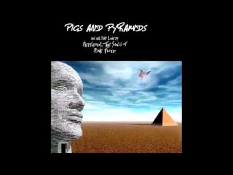 Pigs and Pyramids - Shine on your Crazy Dimond