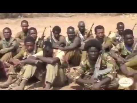 Waraana Adda Bilisummaa Oromoo Olf