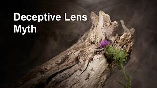 Focal Length Never Changes Perspective Focal Length Never Changes Perspective