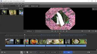 How to edit FLV file with Video Splitter
