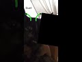 #duet