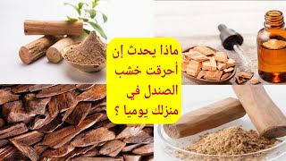 ماذا يحدث إن أحرقت خشب الصندل في منزلك يوميا ؟