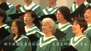 你豈有洗於羊羔寶血   Are You Washed in the Blood?