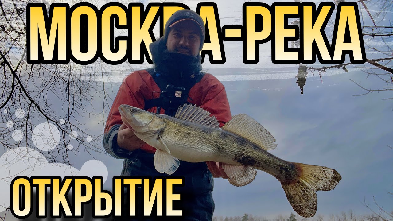 МОСКВА-РЕКА. Открытие сезона ЗИМНЕГО СПИННИНГА.