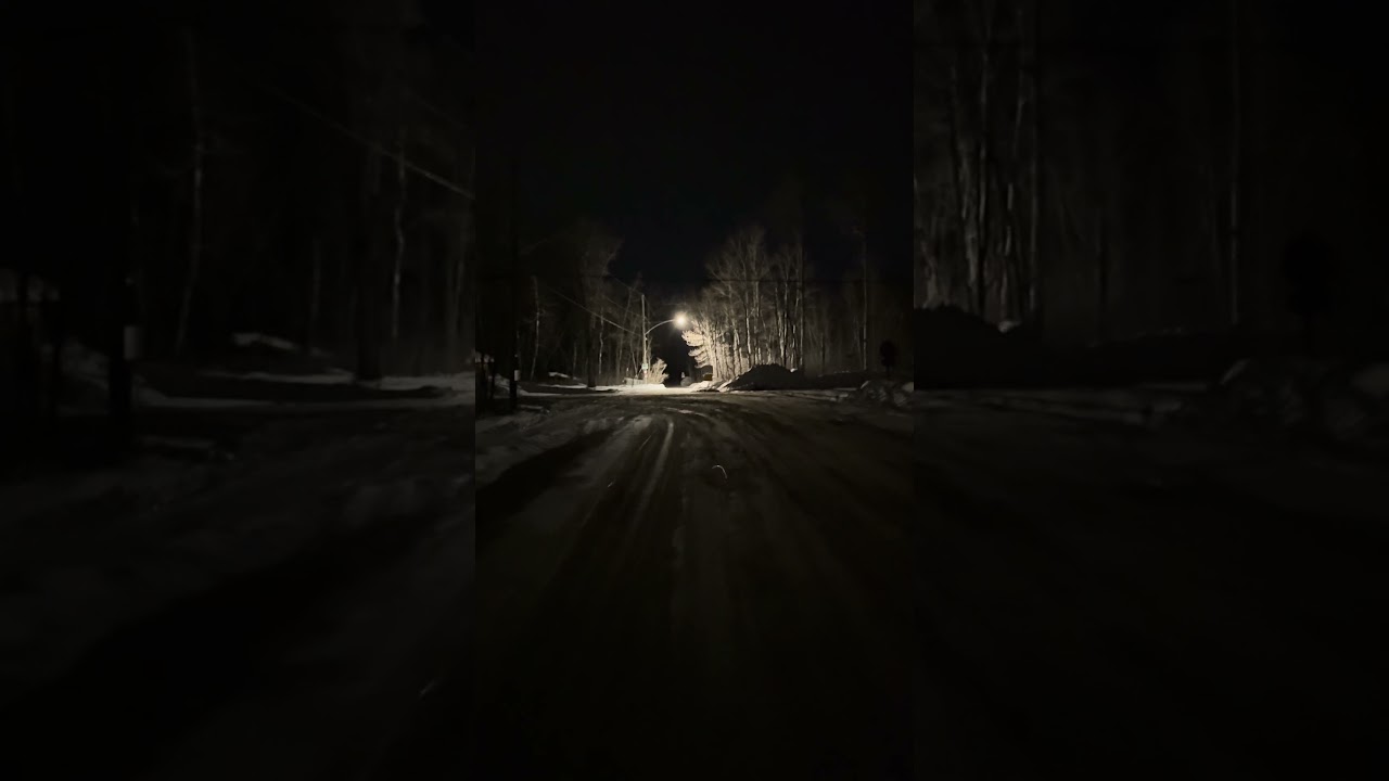 66-й день прогулок