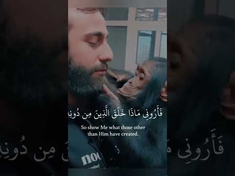 هذا خلق الله محمد دیبیروف