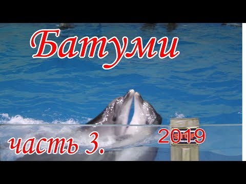 БАТУМИ 2019.часть 3. ШОУ ДЕЛЬФИНОВ.