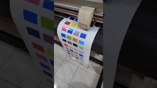 How to solve problem error 36 code on mimaki cg130sr3