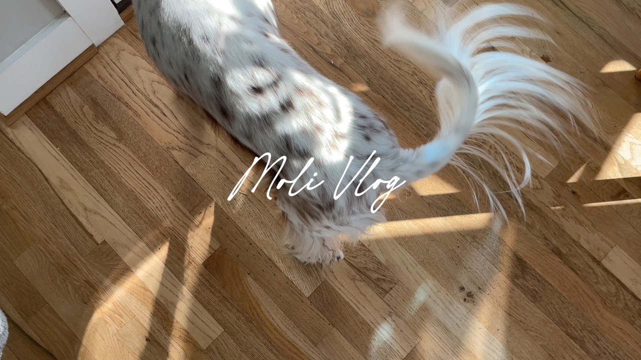 A Productive Saturday: Pilates, Gardening & Mandarin Class 🌿