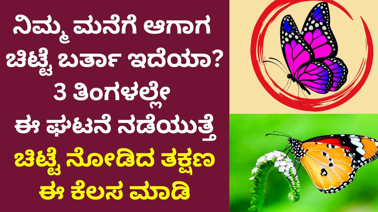 ಚಿಟ್ಟೆ ಮನೆಯೊಳಗೇ ಬಂದರೆ 3 ತಿಂಗಳಲ್ಲೆ ಈ ಘಟನೆ ನಡೆಯುತ್ತೆ|Butterfly | Kannada