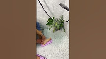 Secrets to understand in life​ part1590