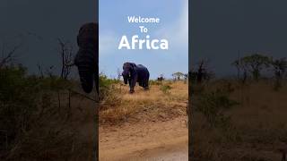 Welcome to Africa #africa #hunting #fishing #southafrica