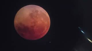 Total Lunar Eclipse seen through telescope, May 15th & 16th 2022