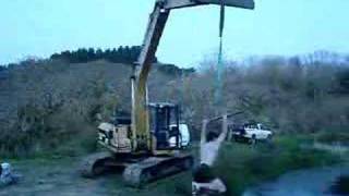 pond swing!