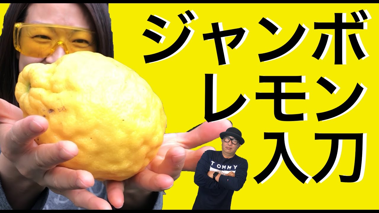 ジャンボレモン入刀 大柠檬 Youtube
