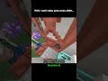 minecraft anos 2000 #minecraftshorts  #shortsvideo #shorts
