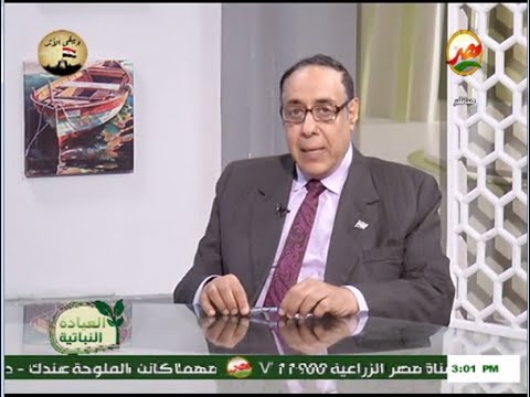 الفطريات الممرضة للحشرات الجزء الثاني