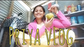 Priya Vlog