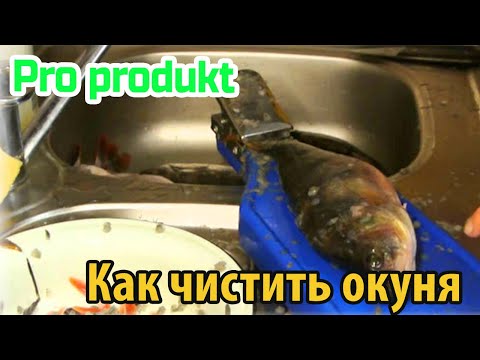 Как чистить окуня