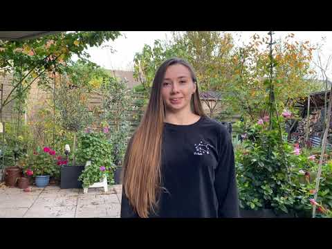 Try on haul / Winterjacken Teil 2 (Haily‘s, Bench, Khujo)