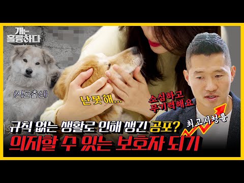 [피크타임] ✨최고 분당 시청률✨ 무기력한 아롱이, 어쩌면 스스로 만들어낸 공포? | 개는 훌륭하다 | KBS 211206 방송
