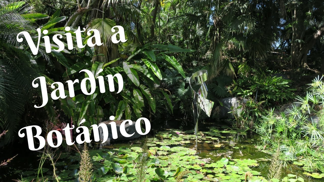 San Diego Botanic Garden Encinitas Ca Youtube