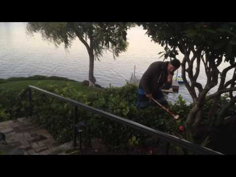 Copy of IMG_8297.m4v Copy of IMG_8297.m4v