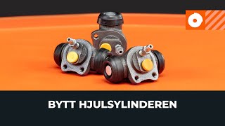 Hvordan bytte Bremsesylinder - online gratis video