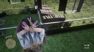Red Dead Redemption 2 _Talk to Miriam and hogtie Emerald ranch