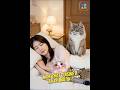 🐱 هل تطبخ قطتي السمك في الليل؟