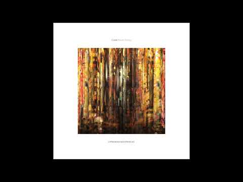 Comit — Comit - Flutter [ASIPV017]