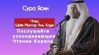 Шейх Мухтар Аль Хадж -Сура Ясин (Красивое чтение Корана)