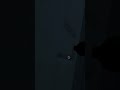 Испугался | ТВИЧ - MEDY3A_grief #shorts #fnaf #horror #реки
