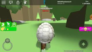 Turtle Simulator Can I Get The Better Shell ( Roblox)