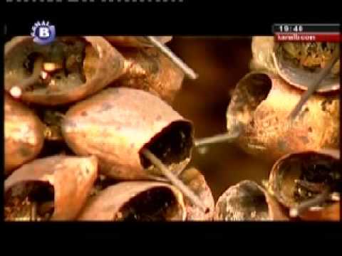 Çan Ustası / Bell Handmade  1/3 - Ellerin Türküsü Kanal B