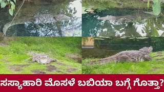 #ananthapura #laketemple #vegcrocodile