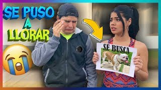 ¡PERDIMOS SU MASCOTA! 24 HORAS DE BROMAS PESADAS A YOLO - Yolo Aventuras