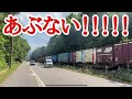 【人身事故一歩手前】線路脇の森から線路に侵入する外国人観光客→貨物列車が接近