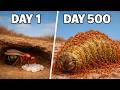 A Queen Ant's Fight to Build an Empire | 500 Day Simulation