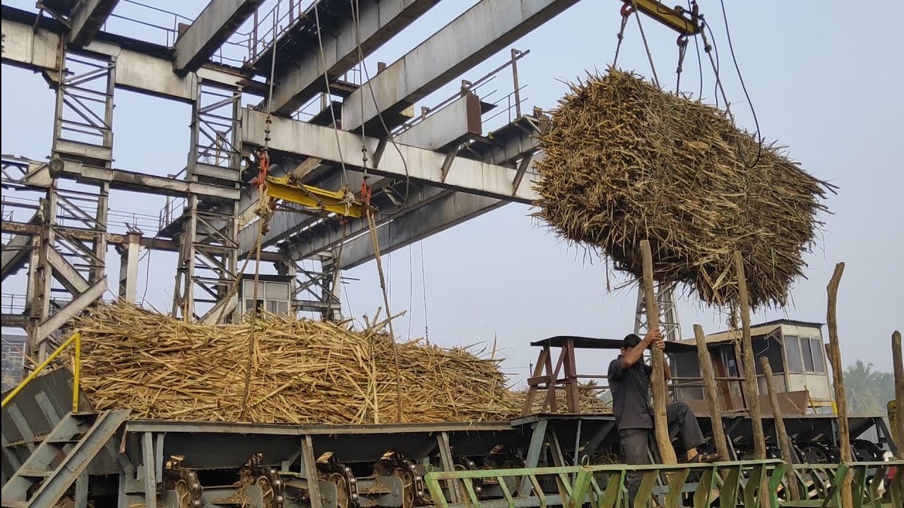 ugar sugar factory YouTube