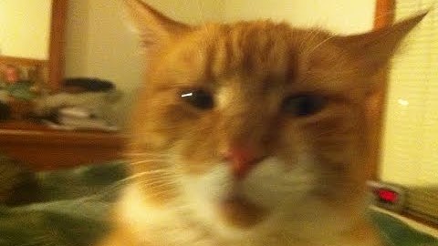 BryFx - Dum $h!t (Official Music Video)