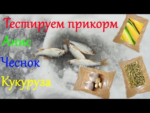 Тестируем прикормку зимой. Кукуруза & Чеснок & Анис.