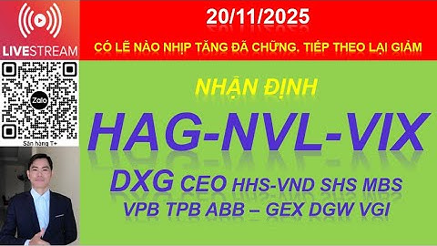 Nhận định cổ phiếu HAG NVL VIX VND SHS MBS - CEO DXG HHS - VPB TPB ABB GEX DGW VGI DL1 HNG