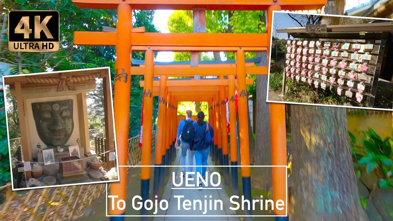 🇯🇵 WALK in UENO Park until Gojo Tenjin shrine - TOKYO - Sunny afternoon ⎡ 4K ⎦
