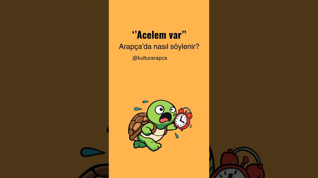 Arapça Öğren-'Acelem var' Arapça'da nasıl söylenir? #arapça #arabic #arapçadersleri #arapça_öğren